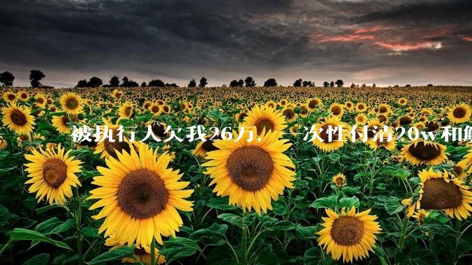 被执行人欠我26万，一次性付清20w和解，我该同意吗?