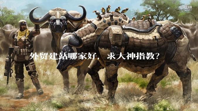外贸建站哪家好，求大神指教？