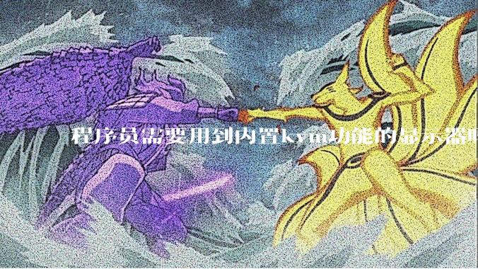 程序员需要用到内置kvm功能的显示器吗？或者是外置的kvm切换器吗？